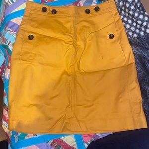 Ann Taylor Skirt